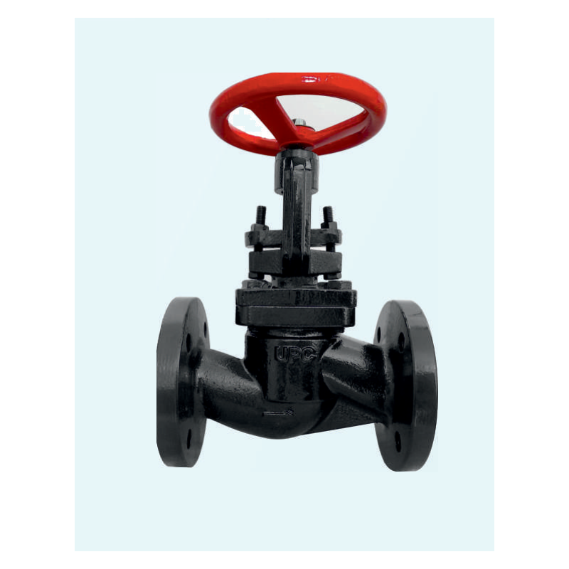 globe-valve-cast-iron-25-mm-12688