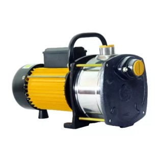 Crompton Greaves CGDSW100C 1 HP Shallow Well Pump 0.75 kW 25x25 mm | EnvMart