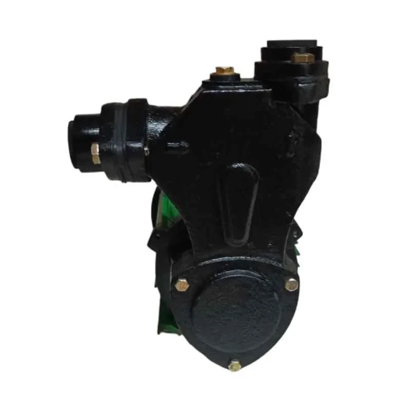 Damor 2HP Single Phase Pure Copper Self Priming Monoblock Pump 1.4kW 25mm 120LPM | EnvMart