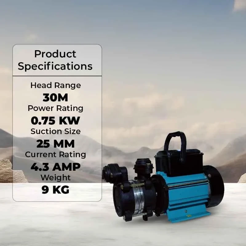 Damor 1 HP Single Phase Super Suction Centrifugal Water Pump, 30 m Head, 0.75 kW | EnvMart