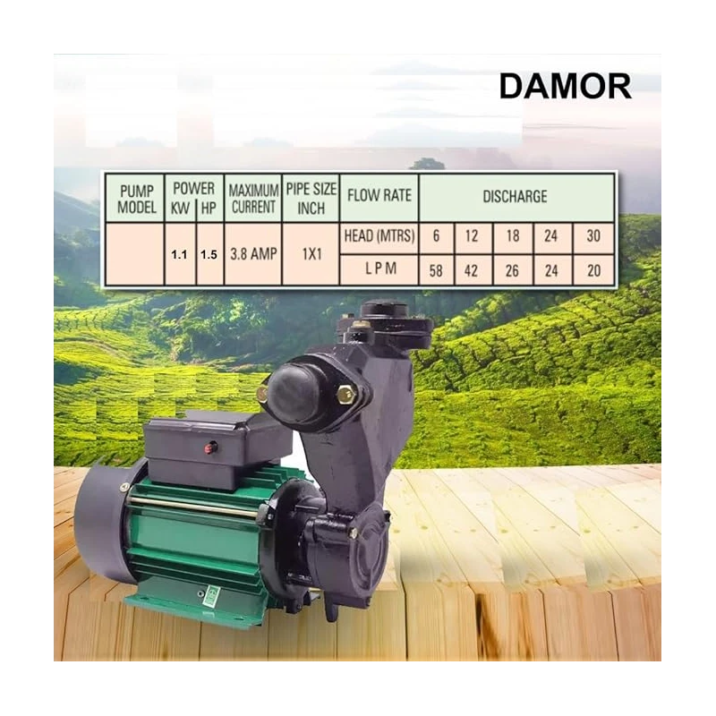 Damor Single Phase Pure Copper Self Priming Monoblock Pump 1.5 HP 1.1 kW 25 mm | EnvMart