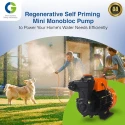 Crompton Greaves CGDMM05MS Mini sergeant 0.5 HP Centrifugal Pump, 220V, Single Phase | EnvMart