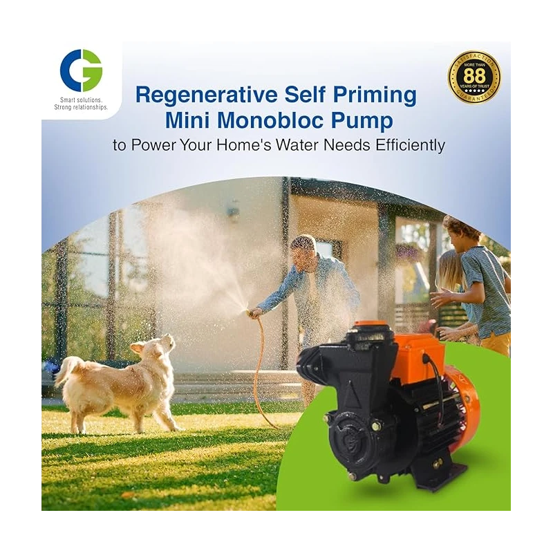 Crompton Greaves CGDMM05MS Mini sergeant 0.5 HP Centrifugal Pump, 220V, Single Phase | EnvMart