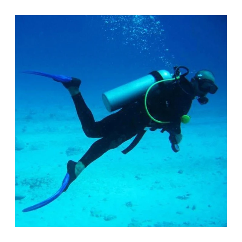 under-water-breathing-apparatus-set-with-diving-suit-19842