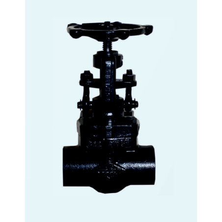 forged-gate-valve-class-800-wcb-10-mm-16560