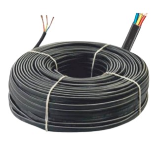 RK 3 Core Submersible Flat Cable 2.5 Sqmm 30m Copper 1100V | EnvMart