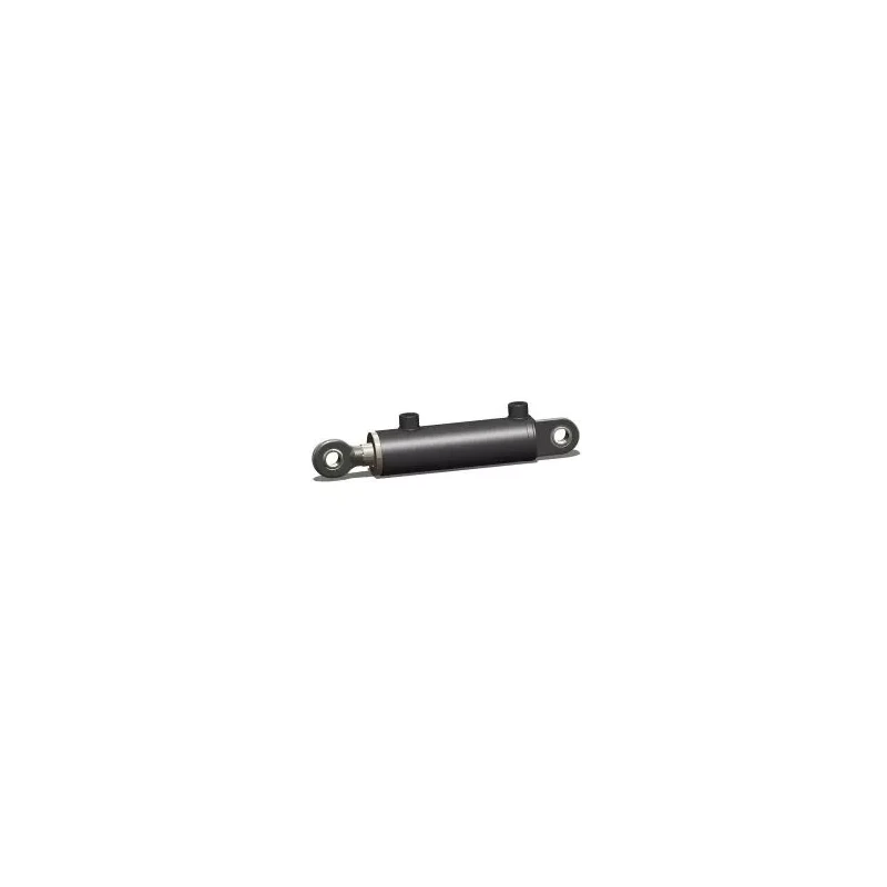 TMC Pneumatics Hydraulic Cylinder 150 mm Bore 650 mm Stroke Screw Mounted | EnvMart