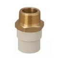 Supreme 2 Inch SDR11 CPVC Brass Male Threaded Adaptor Pipe Fitting Off White | EnvMart