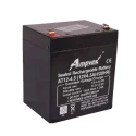 Amptek AT12-4.5 12V 4.5Ah SMF Sealed Rechargeable Industrial Battery | EnvMart