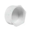 Supreme 3/4 inch SCH 80 UPVC White Thread Plain End Cap MP1G8ECT002E