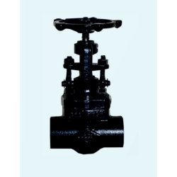 forged-gate-valve-class-800-wcb-10-mm-16560