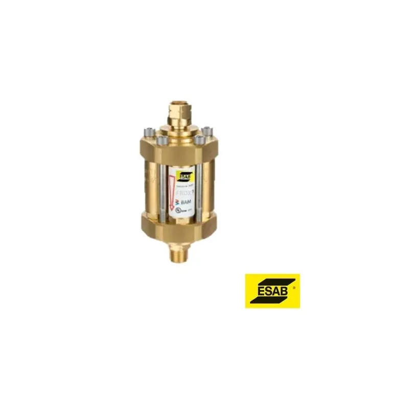 ESAB 1300100377 FRDX5 G1Rh-F Flashback Arrestor 1 Inch Brass | EnvMart