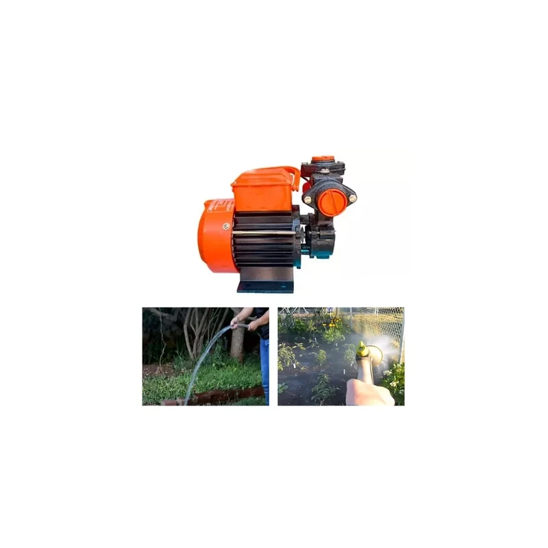 CG Power CGDMM10ML 1 HP Self Priming Monoblock Pump, 220V, 55m Head, 4300 LPH | EnvMart