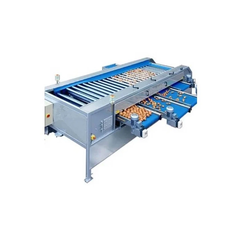 Packhouse Machinery for Fruits and Vegetables, Sorting, Grading, Packing Line | EnvMart