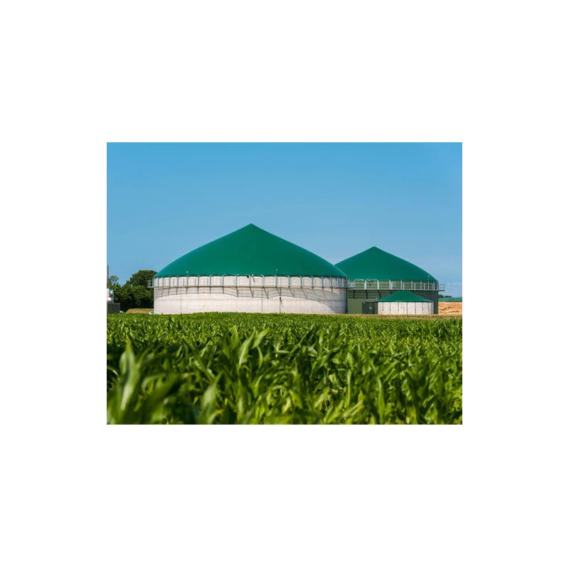 automatic-biogas-plant-for-industrial-and-agriculture-19968