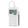 Hanna Professional Portable Beer pH Meter - HI98167