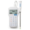 Hanna Professional Portable Cheese pH Meter - HI98165