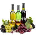 Hanna Instruments HI99111 Portable Wine Must & Grape Juice pH Meter, IP67, -2.00 to 16.00 pH | EnvMart