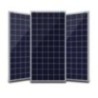 Waree 350Wp Polycrystaline Solar Panel