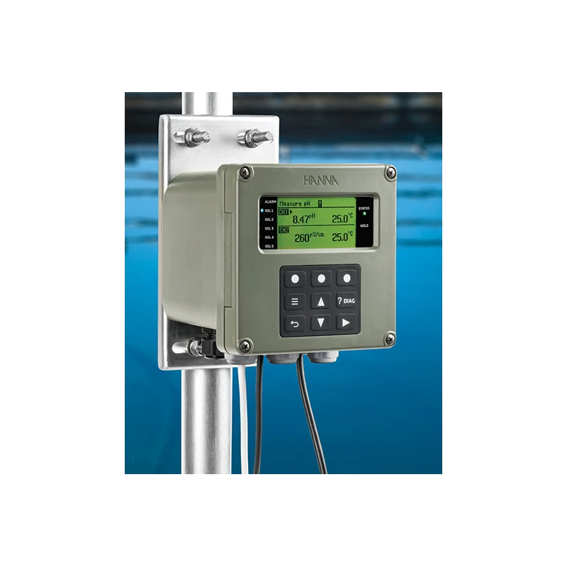 HI520 Dual-Channel Universal Process Controller, 5 Relays, 4 Analog Outputs, IP65 | EnvMart