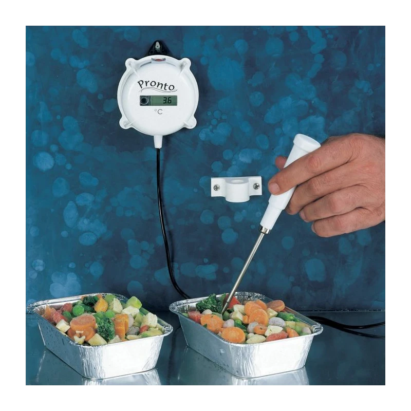 HI146-00 Wall-Mounted Water-resistant Precision Thermometer | -50 to 150°C | CAL Check | EnvMart