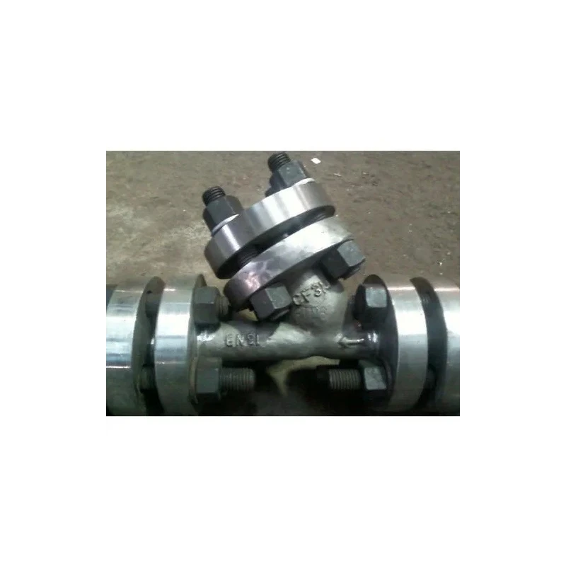 stainless-steel-y-strainer-20175