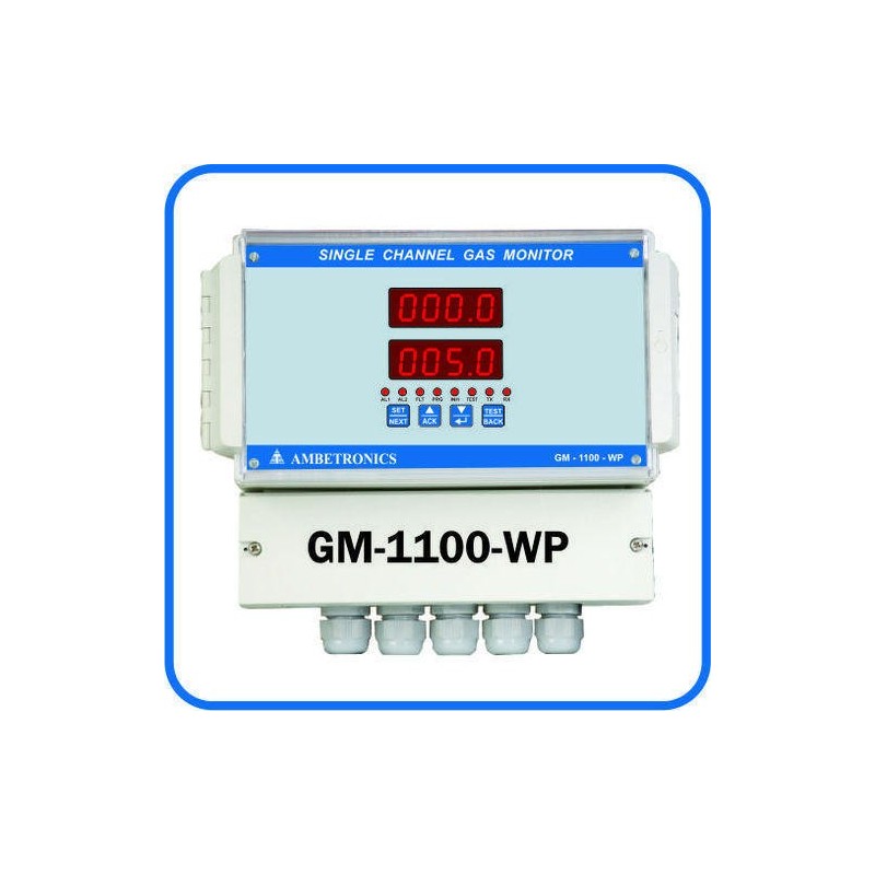 single-channel-gas-monitor-16965