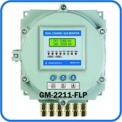 dual-channel-fixed-gas-monitor-flameproof-16970