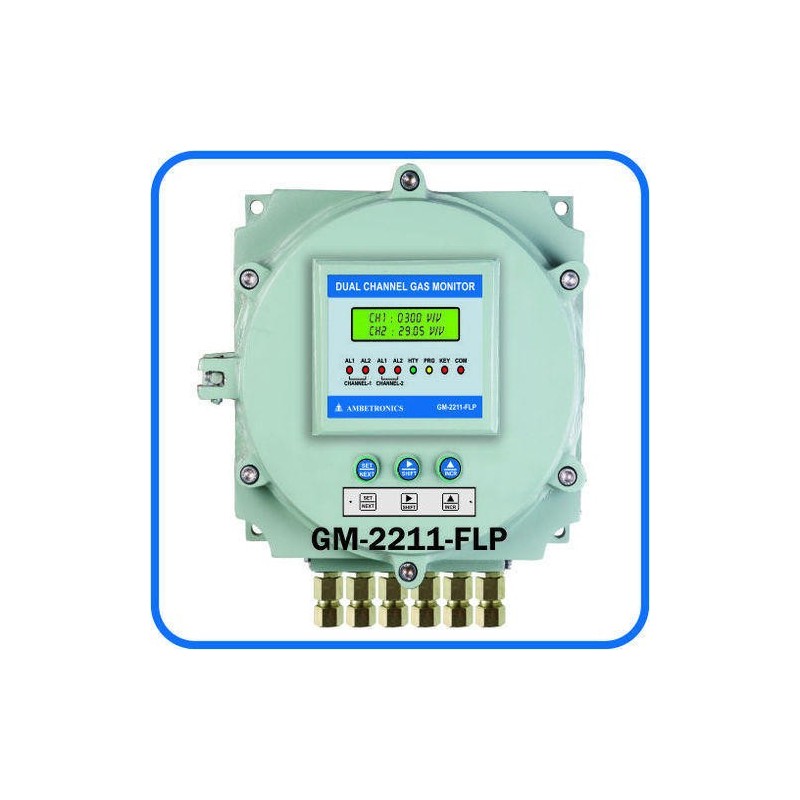 dual-channel-fixed-gas-monitor-flameproof-16970