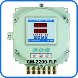 dual-channel-gas-monitor-17017