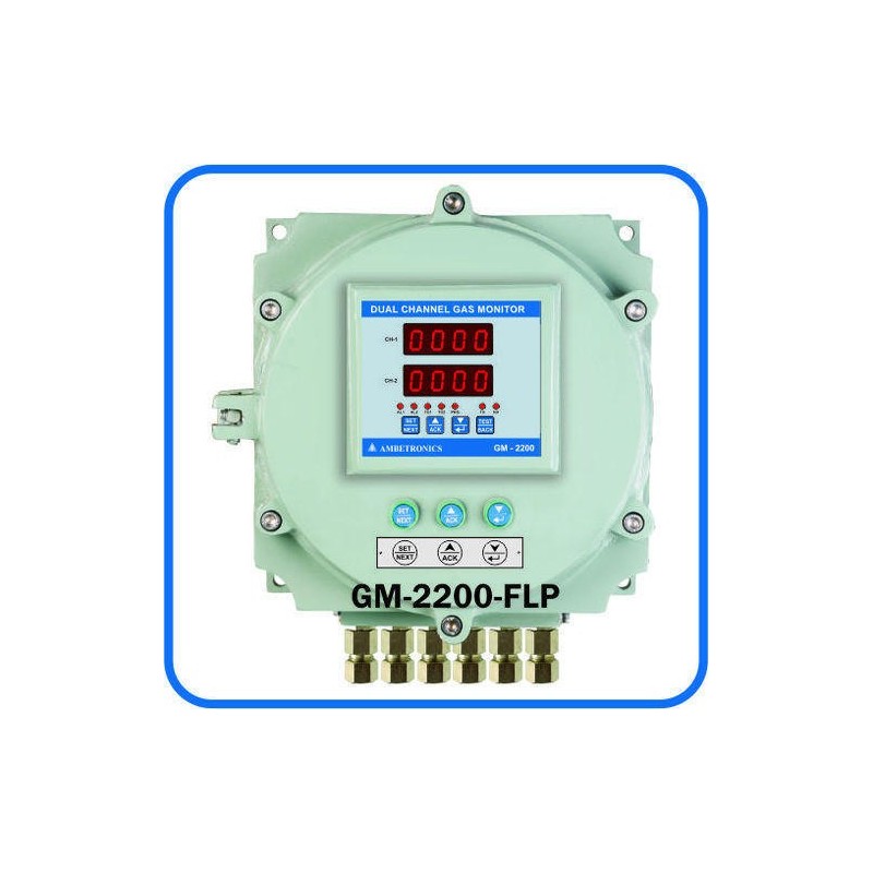 dual-channel-gas-monitor-17017