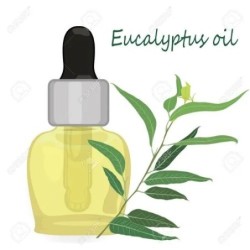 25-l-eucalyptus-oil-17016