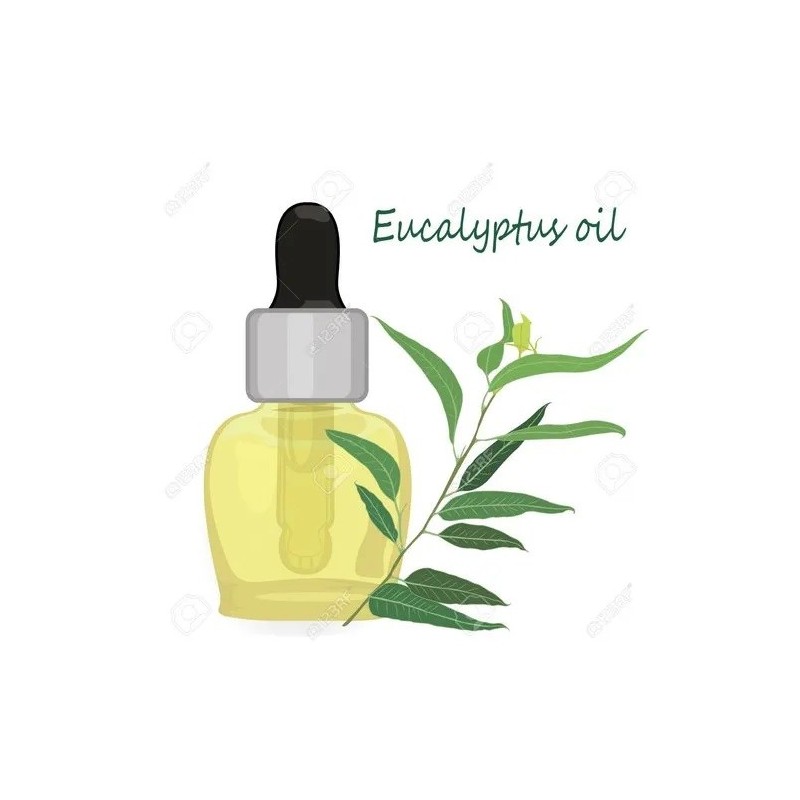 25-l-eucalyptus-oil-17016