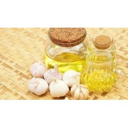 50-l-garlic-oil-17023