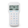 Pool Line Professional Waterproof Portable pH/ ORP Meter - HI981914