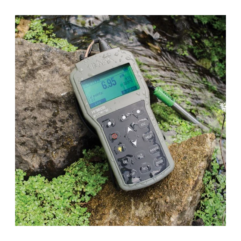 HI98191 Professional Waterproof Portable pH/ORP/ISE Meter, ISE up to 9.99E10, Titanium Electrode | EnvMart