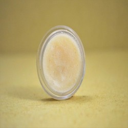 tvishi-handmade-citrus-lip-scrub-8-gms-17211-1