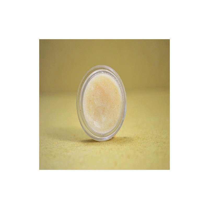 tvishi-handmade-citrus-lip-scrub-8-gms-17211-1