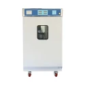 Ethylene Oxide Sterilizer EEOS-A11