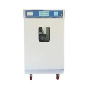 Ethylene Oxide Sterilizer EEOS-A12