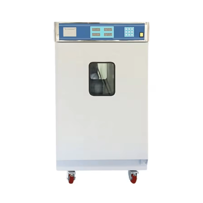 Ethylene Oxide Sterilizer EEOS-A12