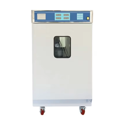 Ethylene Oxide Sterilizer EEOS-A13