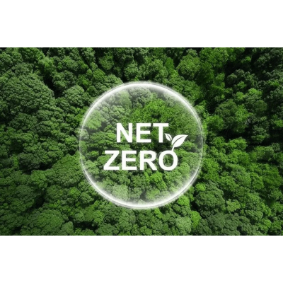 Net Zero Roadmap Development Service India