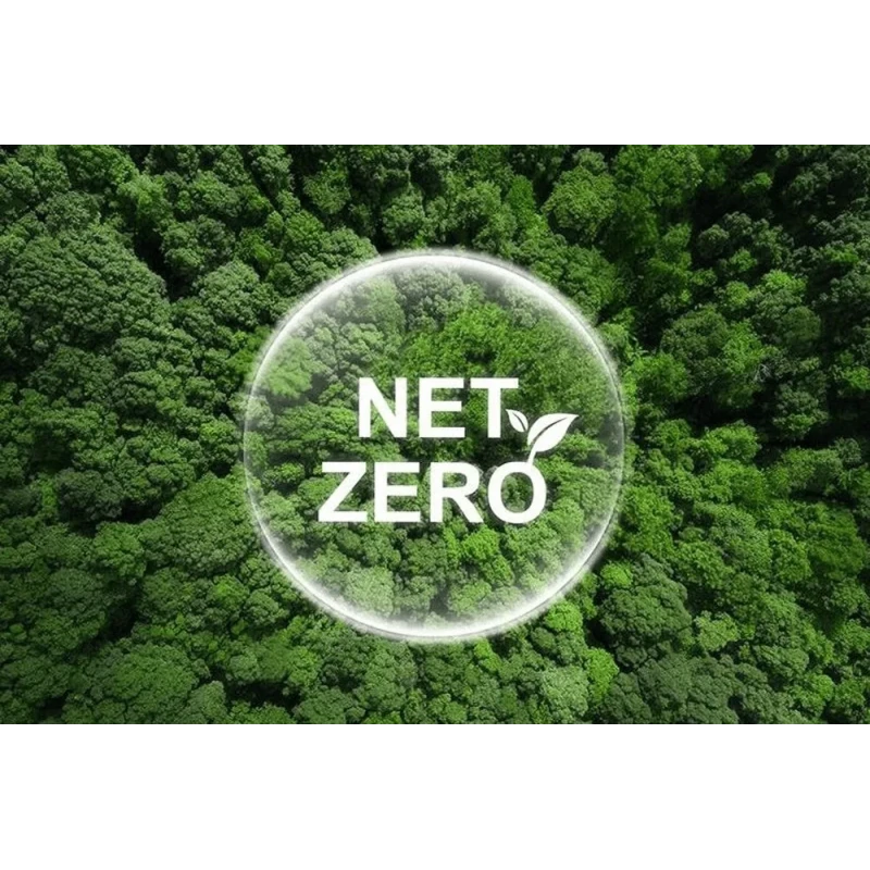 Net Zero Roadmap Development Service India