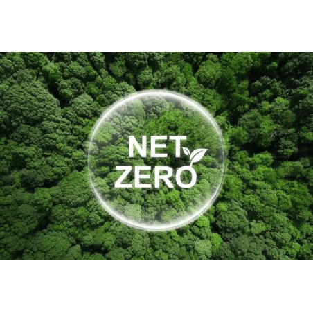 Net Zero Roadmap Development Service India