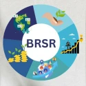 BRSR Reporting Service for Listed Companies India