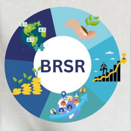 BRSR Reporting Service for Listed Companies India