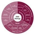 ESG Rating Advisory and Improvement Service India