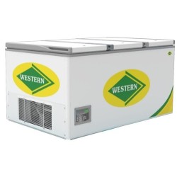 western-deep-freezer-nwhf825h-17227