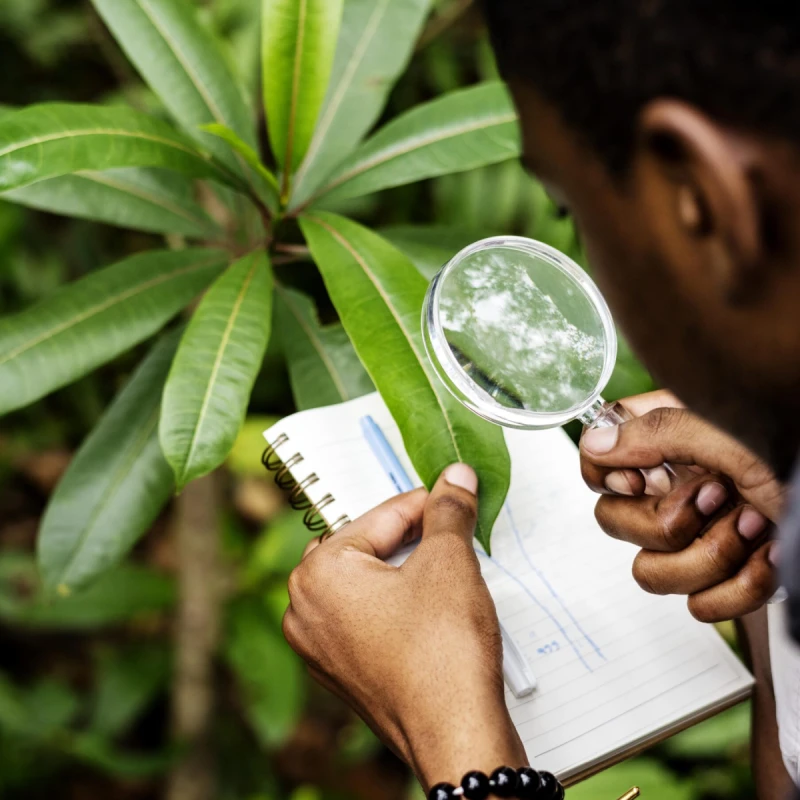 Baseline Air Quality Study for EIA Projects India